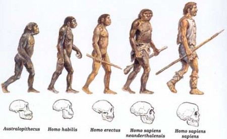A Evolução do Homem - BBC
