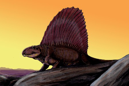 Caminhando com os monstros (Antes dos Dinossauros) - BBC