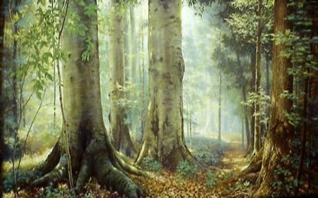 Roma Ascensão e Queda de um Império - A Floresta da Morte